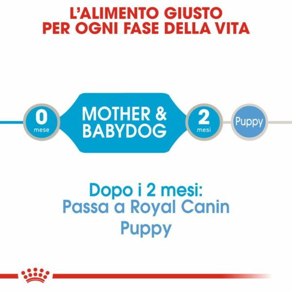 Royal Canin Starter Mousse Mother & Babydog