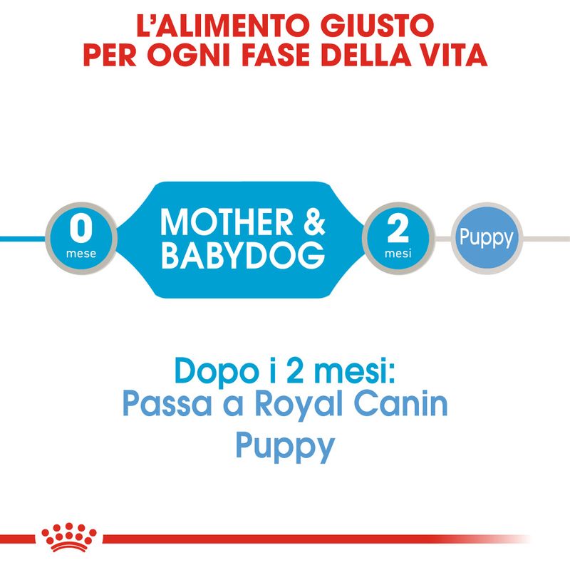 Royal Canin Starter Mousse Mother & Babydog