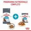 Royal Canin Urinary Care Gatto