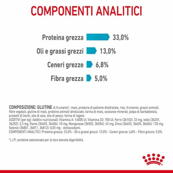 Royal Canin Urinary Care Gatto