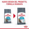 Royal Canin Urinary Care Gatto