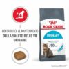 Royal Canin Urinary Care Gatto