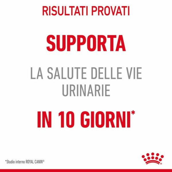 Royal Canin Urinary Care Gatto