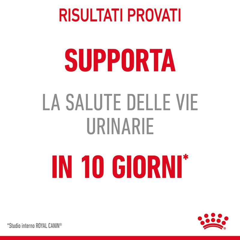 Royal Canin Urinary Care Gatto