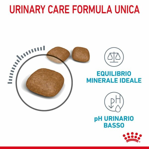 Royal Canin Urinary Care Gatto