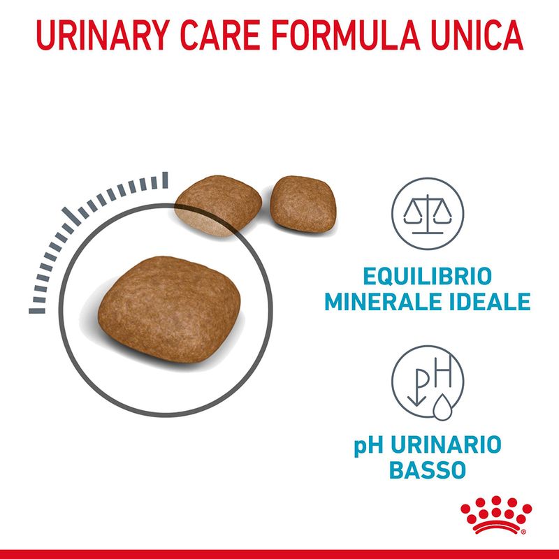 Royal Canin Urinary Care Gatto