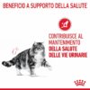 Royal Canin Urinary Care Salsa