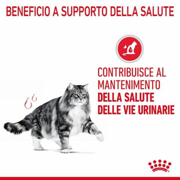 Royal Canin Urinary Care Salsa