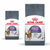 Royal Canin Appetite Control Care Gatto