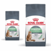 Royal Canin Digestive Care Gatto