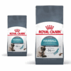 Royal Canin Hairball Care Gatto