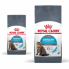 Royal Canin Urinary Care Gatto