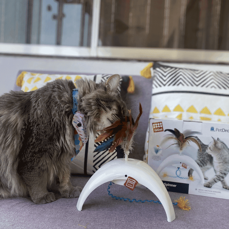 GiGwi Petdroid Feather Spinner