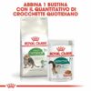 Royal Canin Active Life Outdoor 7+ Gatto
