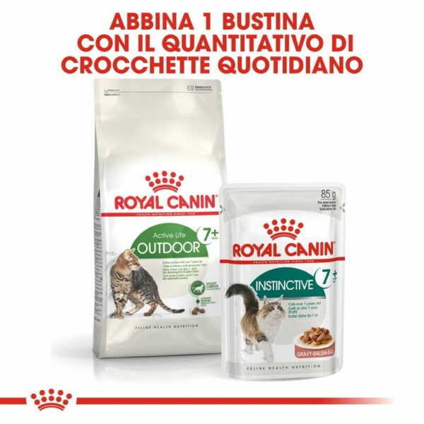 Royal Canin Active Life Outdoor 7+ Gatto