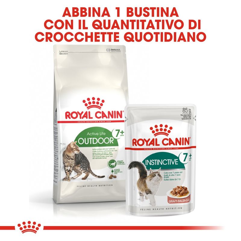 Royal Canin Active Life Outdoor 7+ Gatto