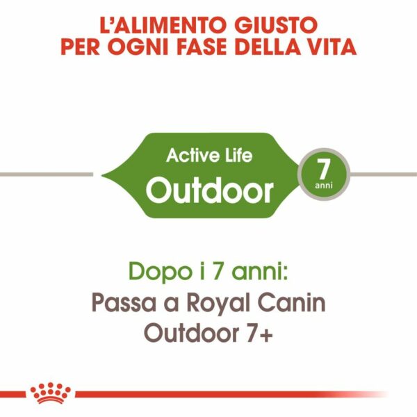 Royal Canin Active Life Outdoor 7+ Gatto