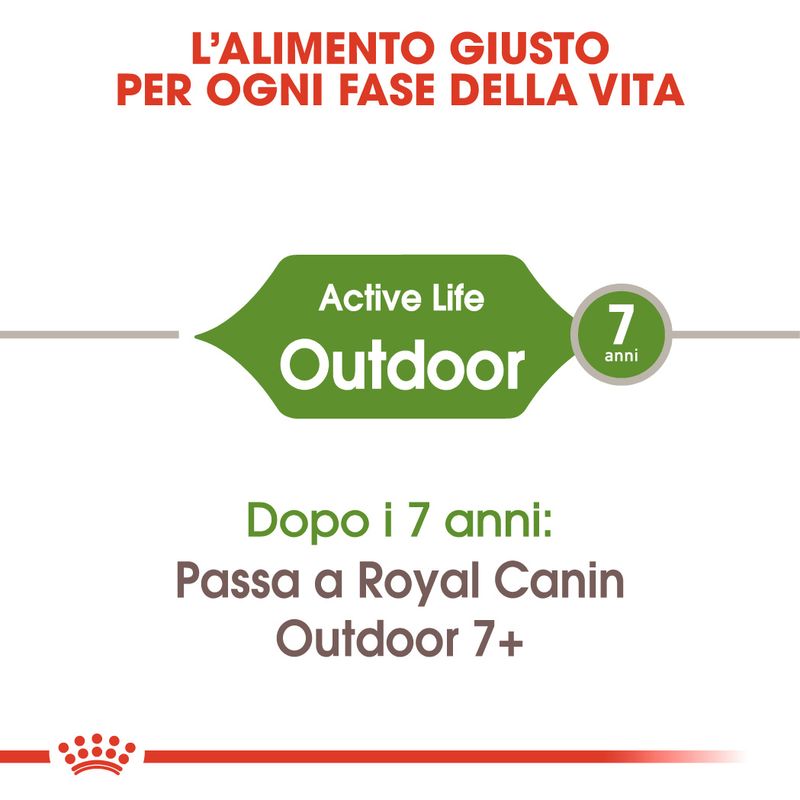 Royal Canin Active Life Outdoor 7+ Gatto