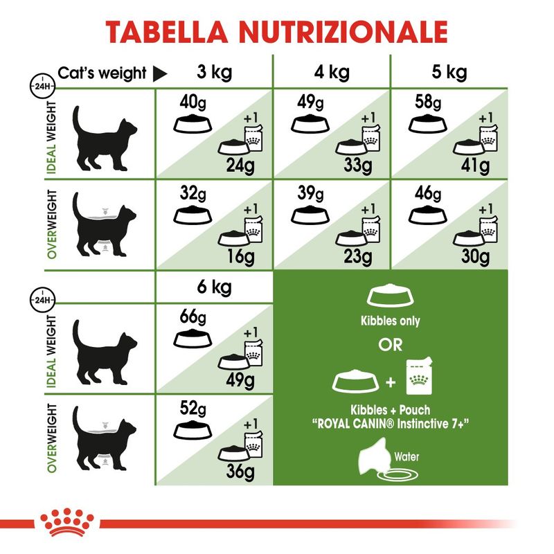 Royal Canin Active Life Outdoor 7+ Gatto