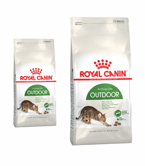Royal Canin Active Life Outdoor Gatto