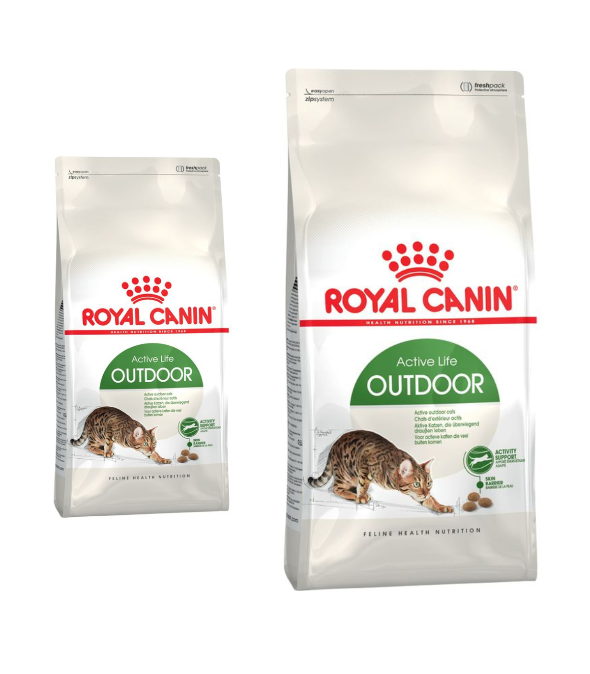 Royal Canin Active Life Outdoor Gatto