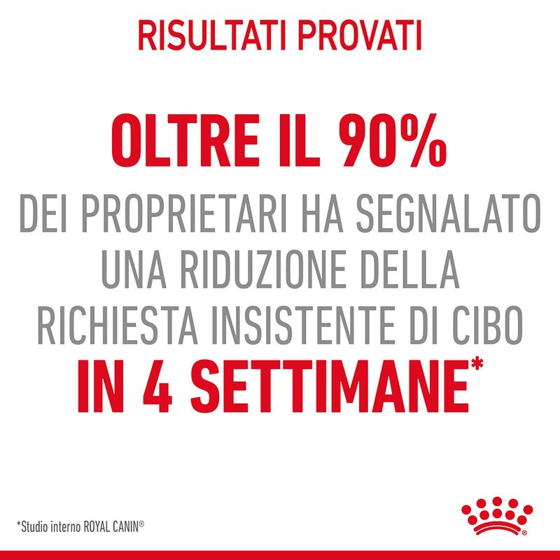 Royal Canin Appetite Control Care Umido Jelly