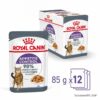 Royal Canin Appetite Control Care Umido Jelly