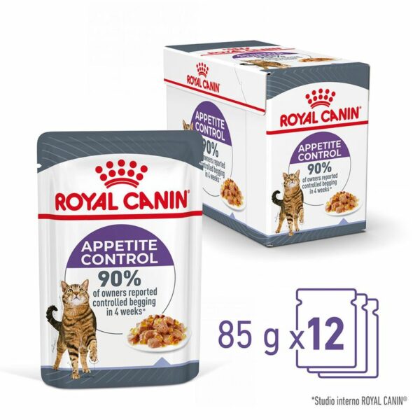 Royal Canin Appetite Control Care Umido Jelly