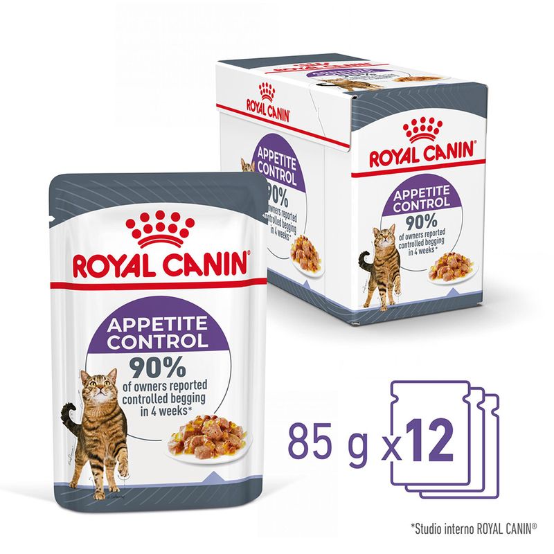 Royal Canin Appetite Control Care Umido Jelly