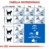Royal Canin Homelife Indoor Longhair Gatto