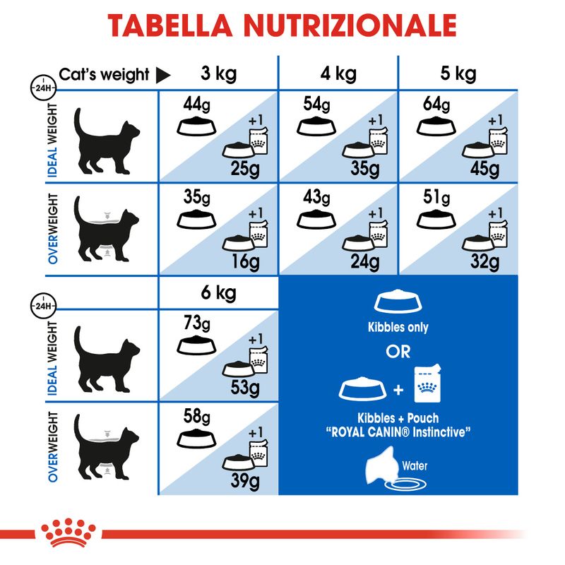 Royal Canin Homelife Indoor Longhair Gatto
