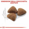 Royal Canin Homelife Indoor Gatto