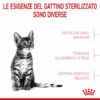Royal Canin Croccantini Kitten Sterilised