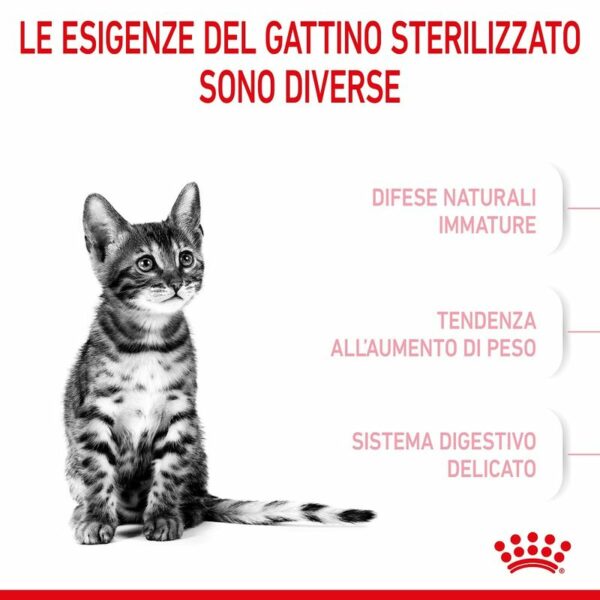 Royal Canin Croccantini Kitten Sterilised