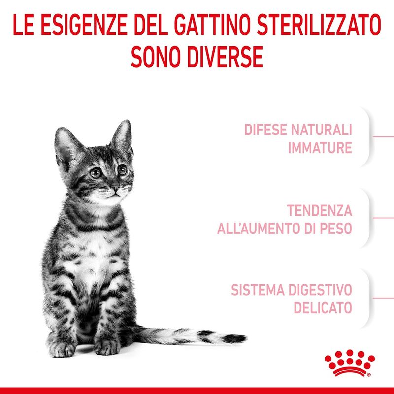 Royal Canin Croccantini Kitten Sterilised