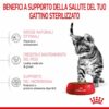 Royal Canin Croccantini Kitten Sterilised