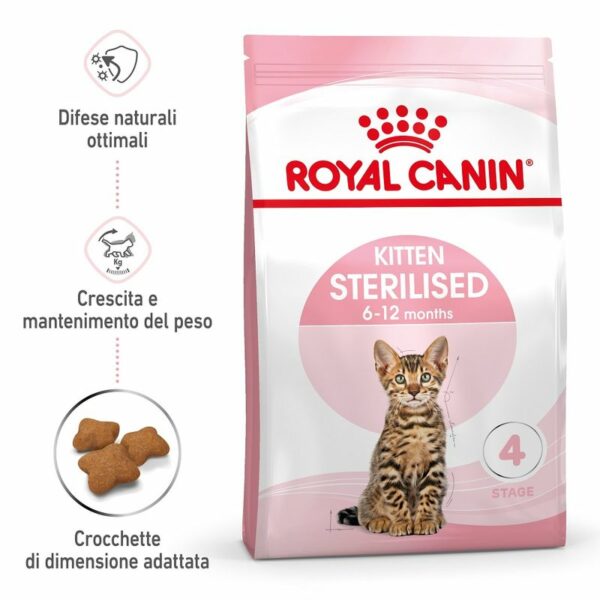 Royal Canin Croccantini Kitten Sterilised