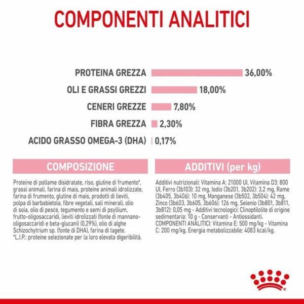 Royal Canin Croccantini Kitten