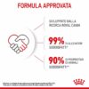 Royal Canin Croccantini Kitten