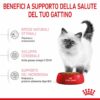 Royal Canin Croccantini Kitten