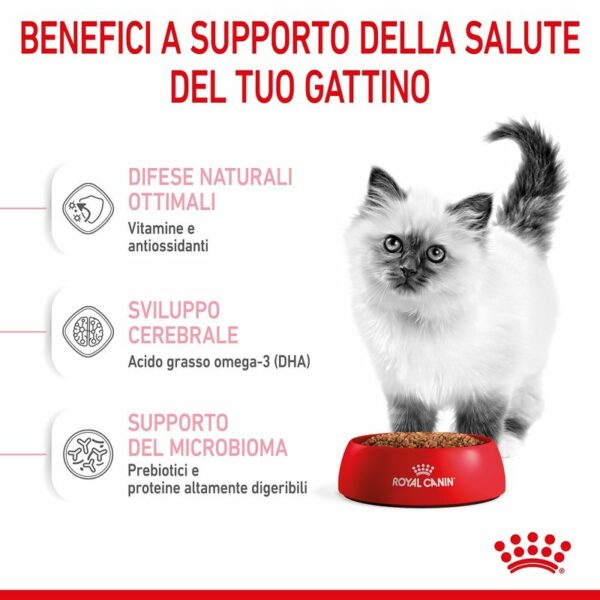 Royal Canin Croccantini Kitten