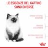 Royal Canin Croccantini Kitten