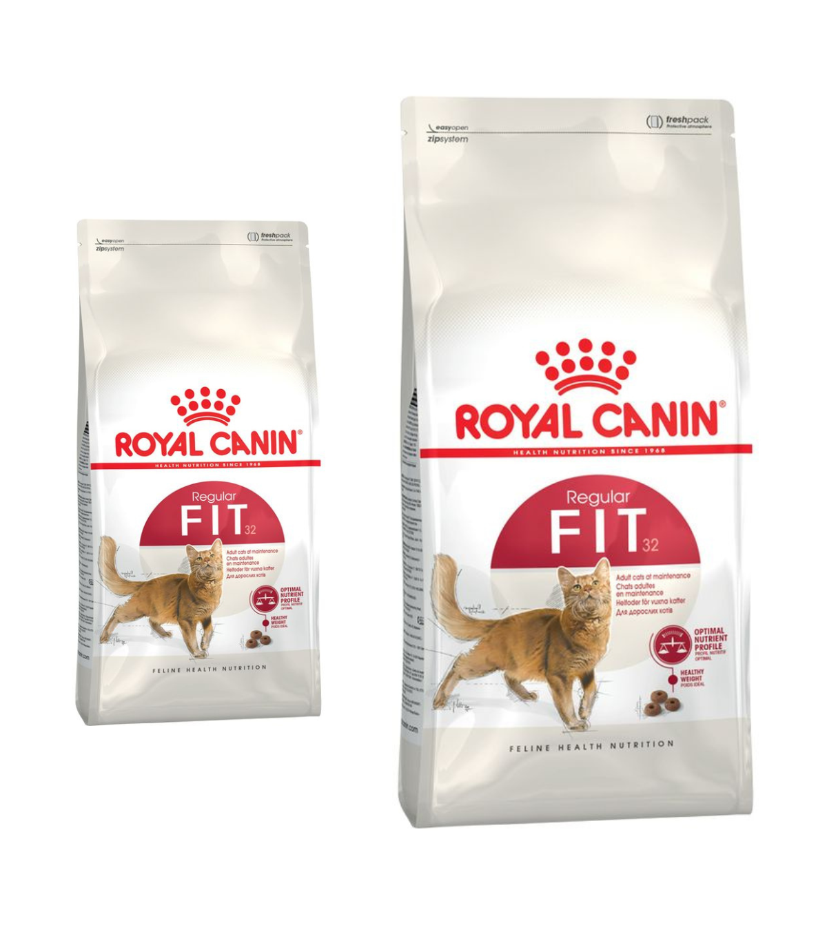 Royal Canin Regular Fit Gatto