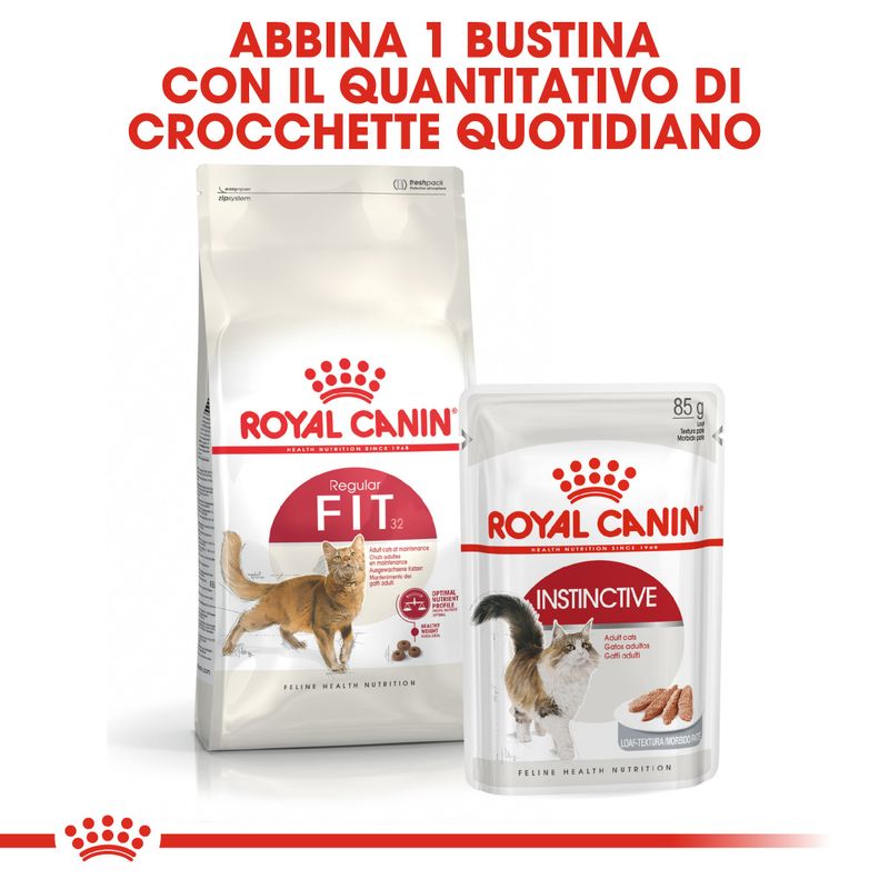 Royal Canin Regular Fit Gatto