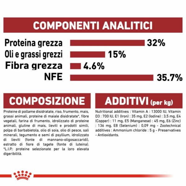Royal Canin Regular Fit Gatto