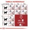 Royal Canin Regular Fit Gatto