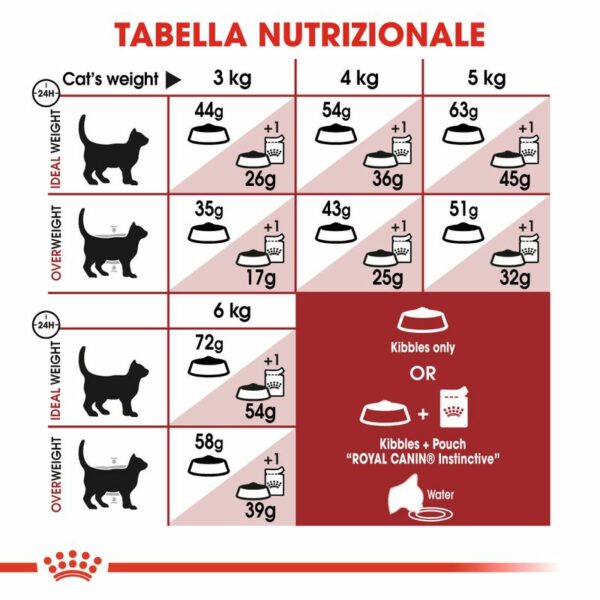Royal Canin Regular Fit Gatto