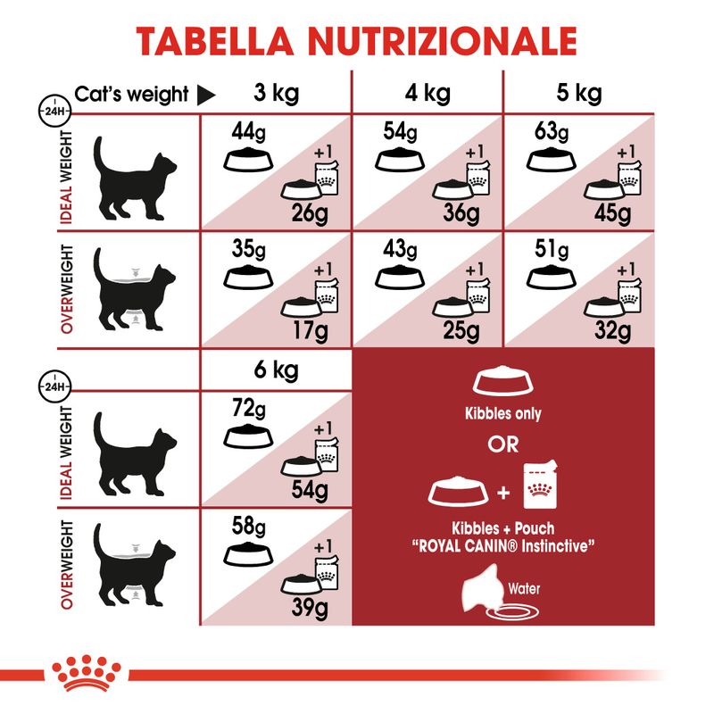 Royal Canin Regular Fit Gatto