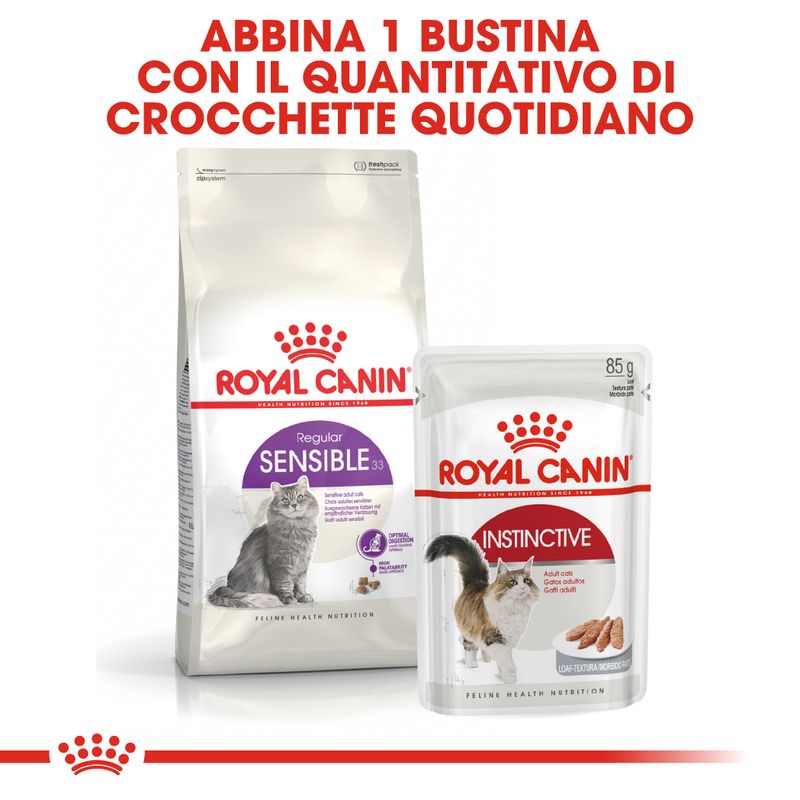 Royal Canin Regular Sensible Gatto