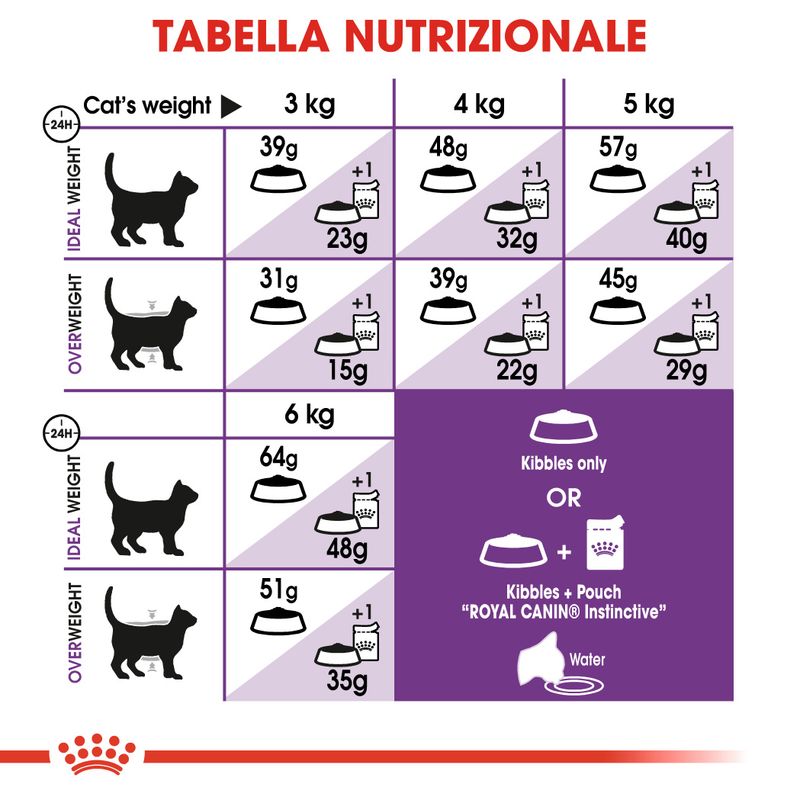 Royal Canin Regular Sensible Gatto
